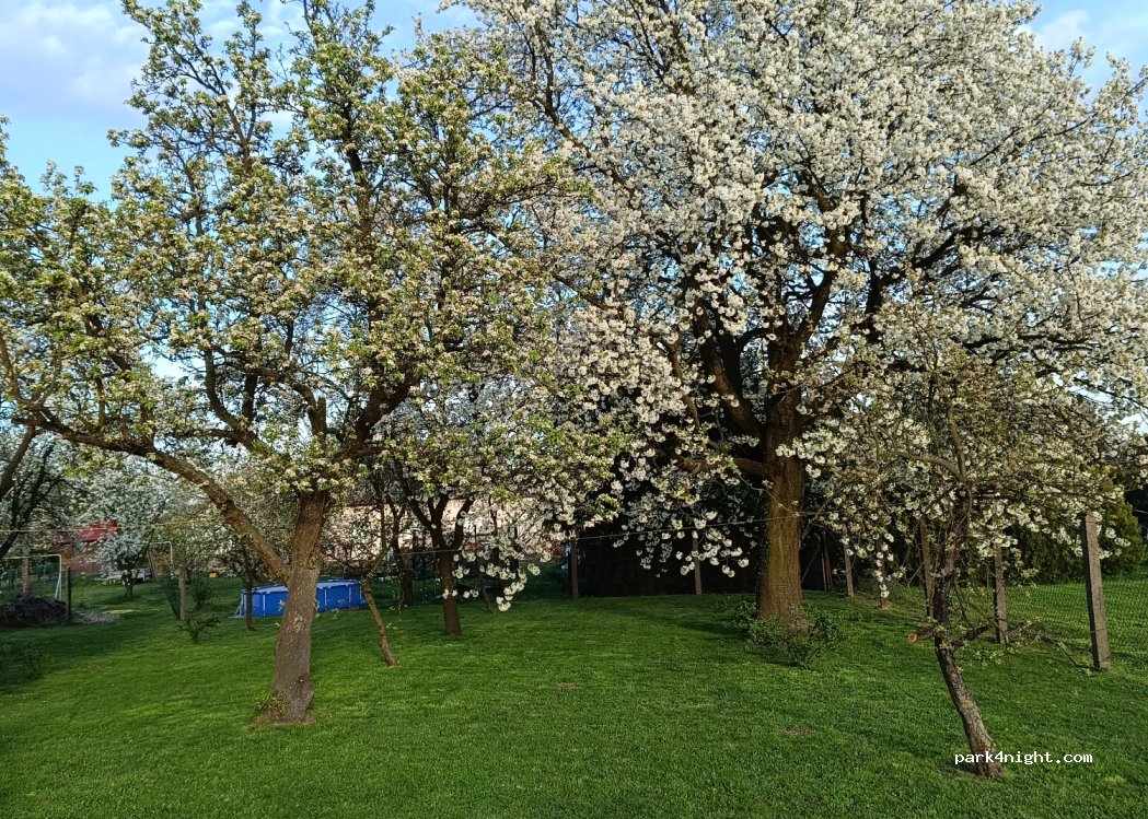 (47-300) Dąbrówka Górna - 3 Polna — foto