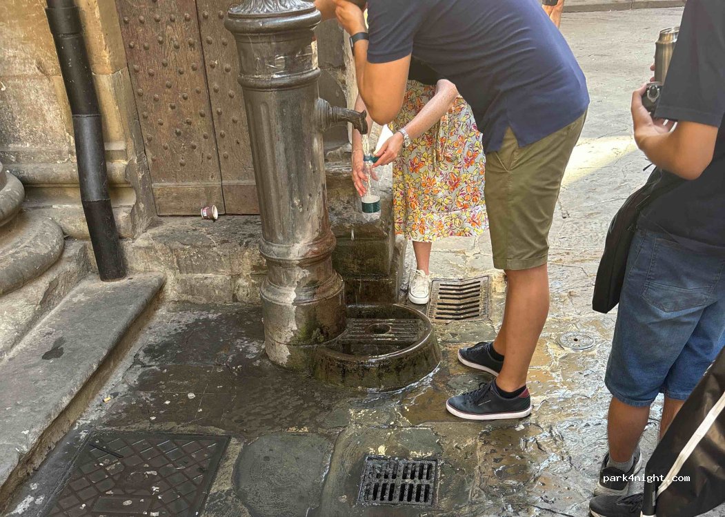 (50123) Firenze - 30 Via Porta Rossa — foto