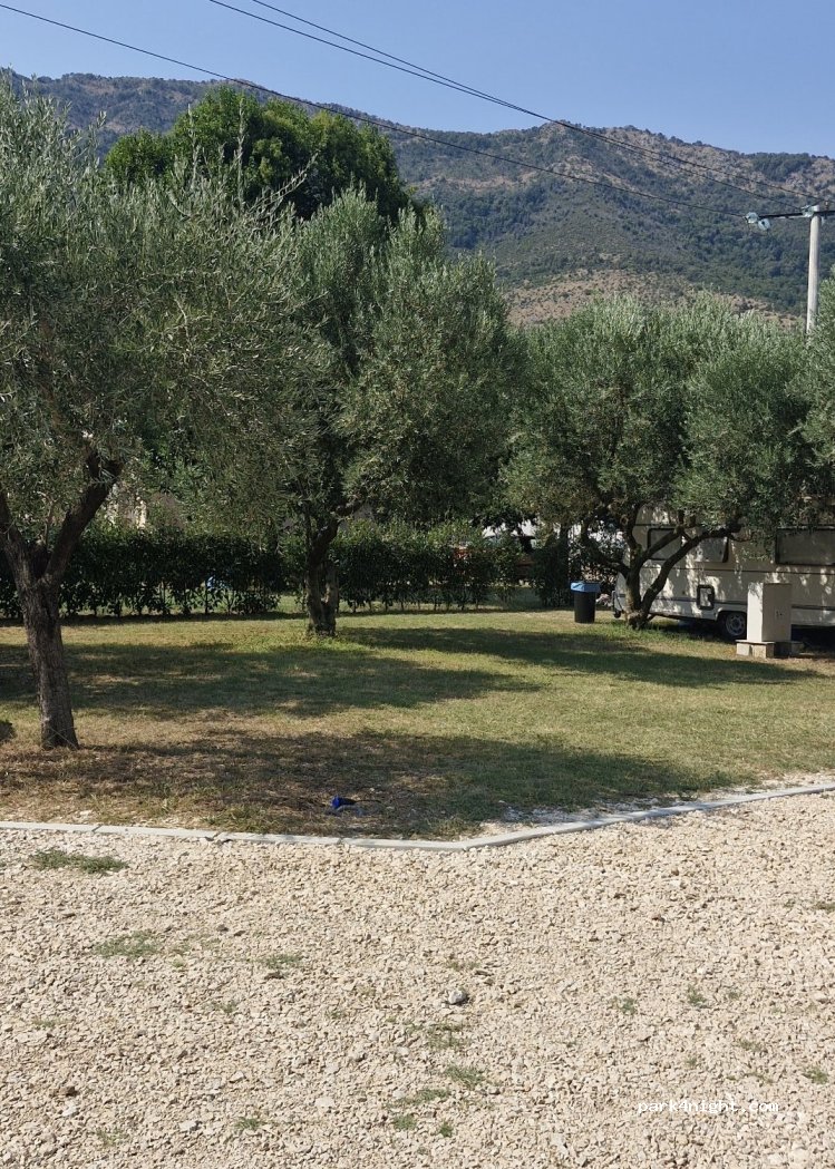 Auto Camp Under The Olive Tree — foto