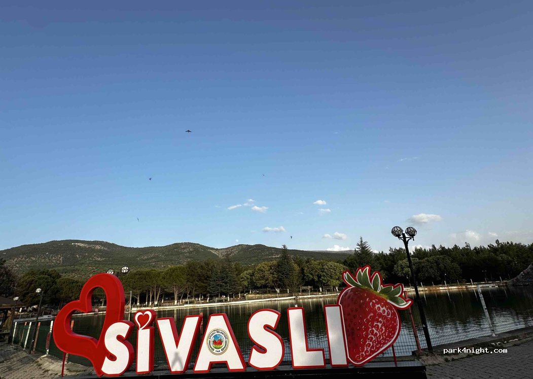 (64800) Evrenli - — foto 3