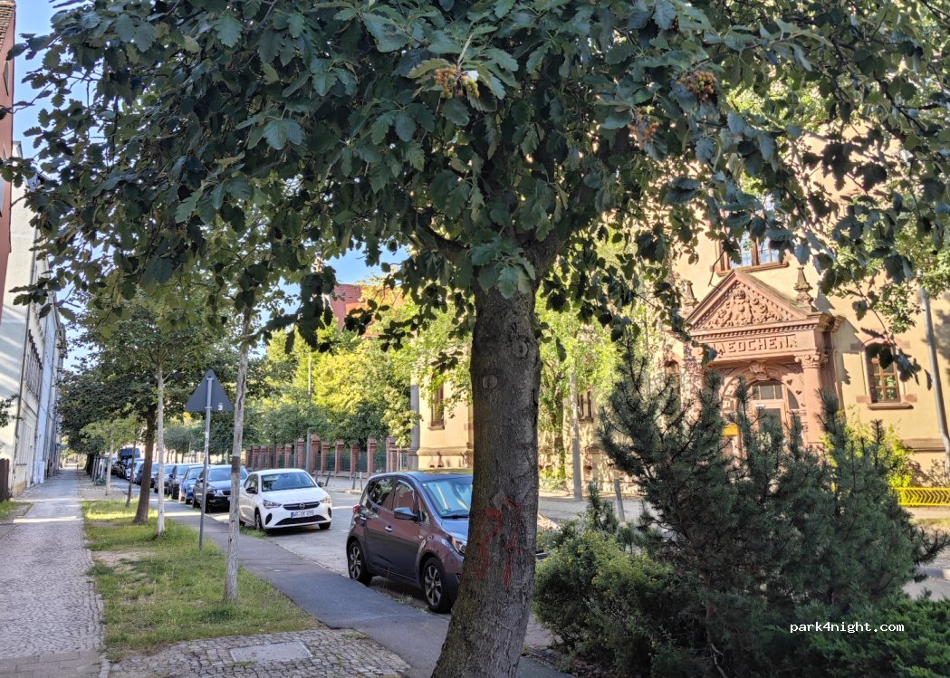(06886) Lutherstadt Wittenberg - 4 Falkstraße — foto