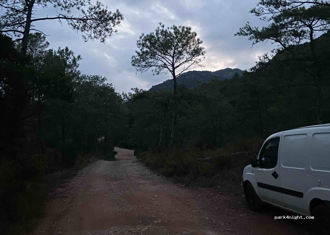(17732) Riberada d'Avall - — foto 3