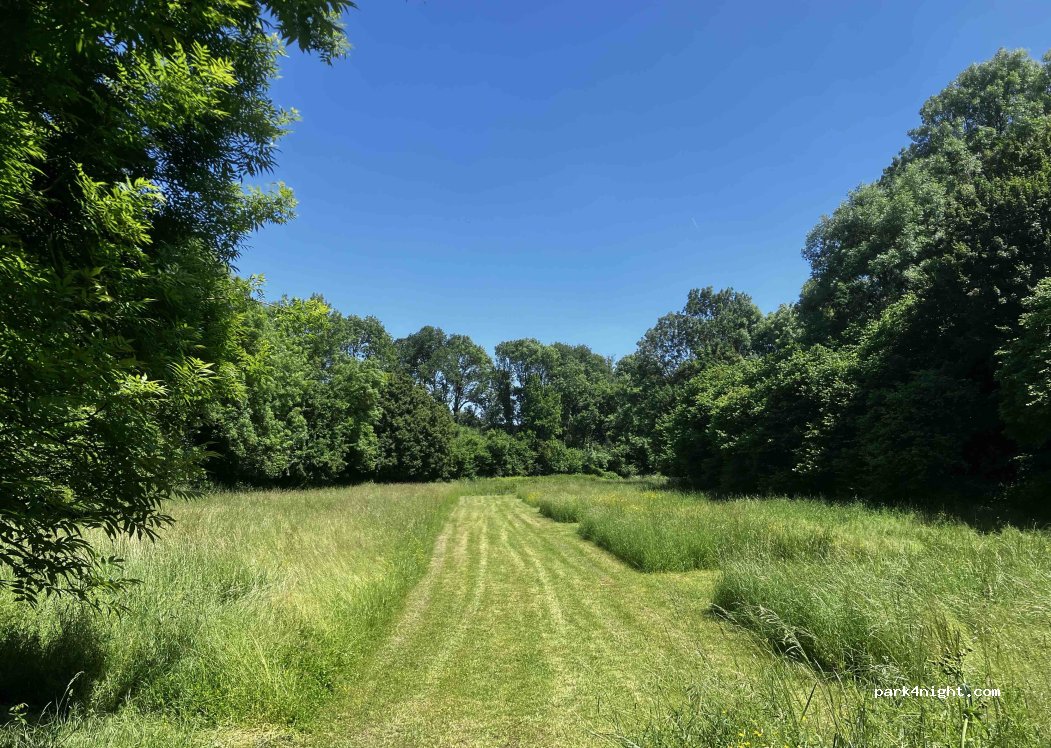 (79160) Villiers-en-Plaine - 7 La Dent — foto 5