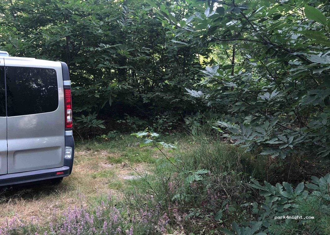 (41140) Saint-Romain-sur-Cher - 35 Route de Blois — foto