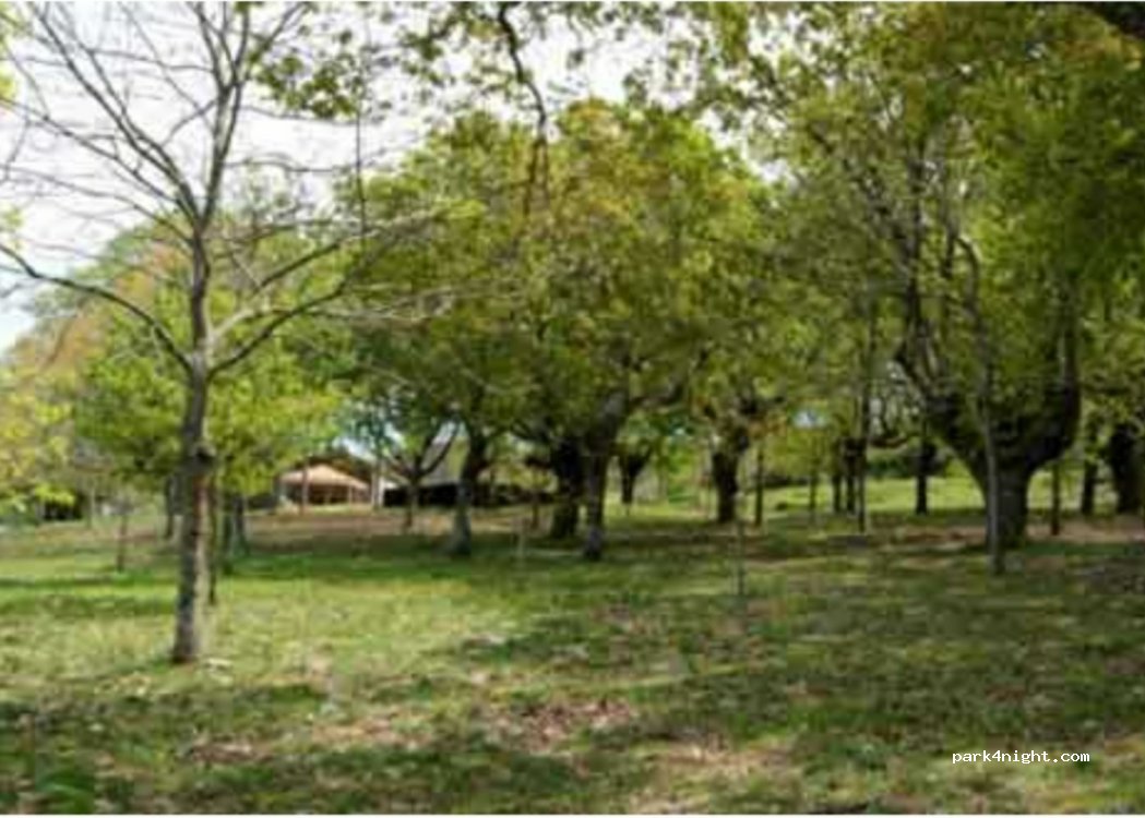 (36121) O Outeiro - Unnamed Road — foto