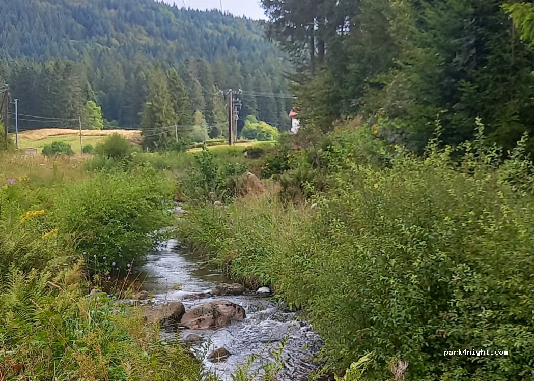 (88250) La Bresse - 49 Route de Lispach — foto