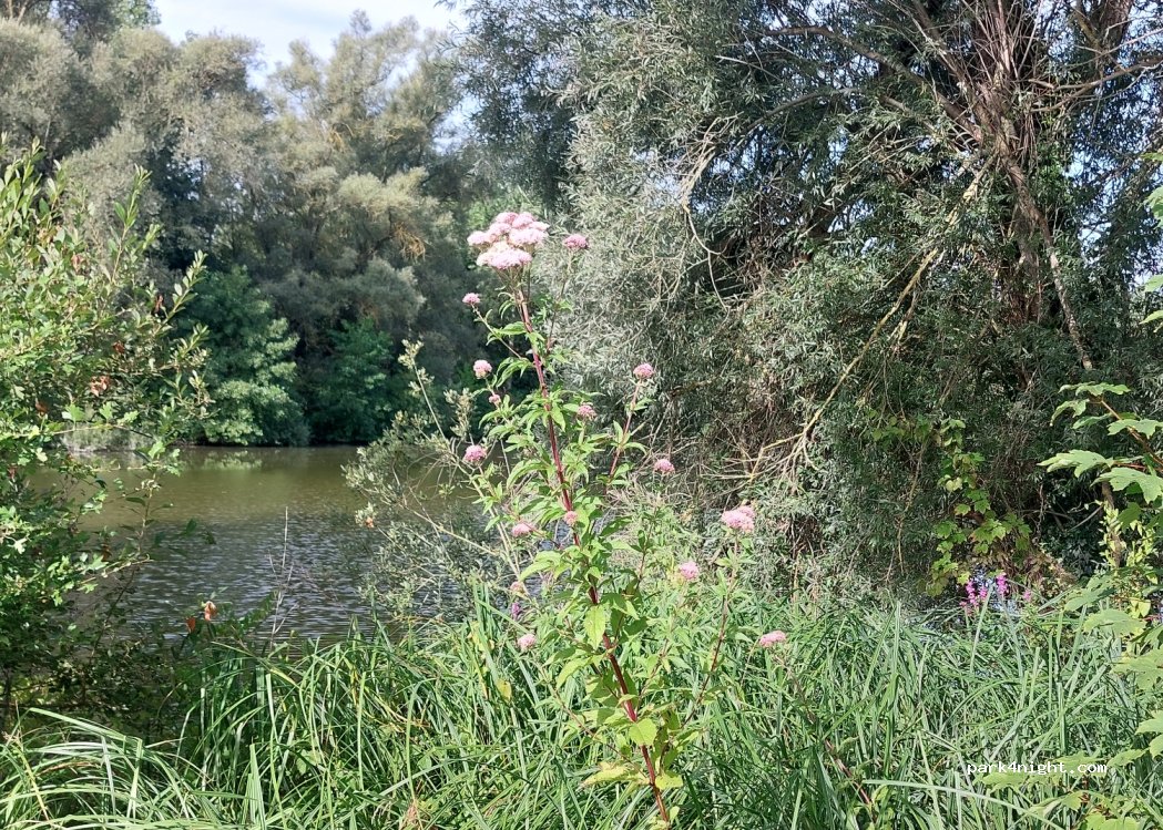 (80450) Lamotte-Brebière - 27 Rue du Huit Mai — foto 2