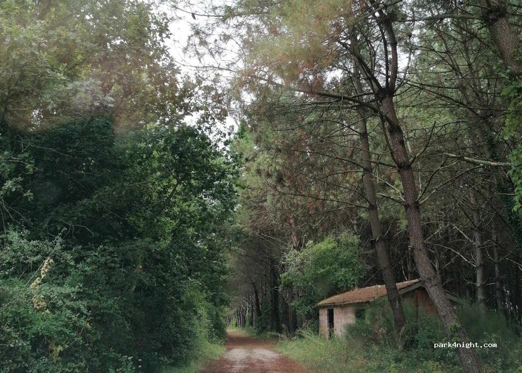 (33340) Queyrac - Unnamed Road — foto