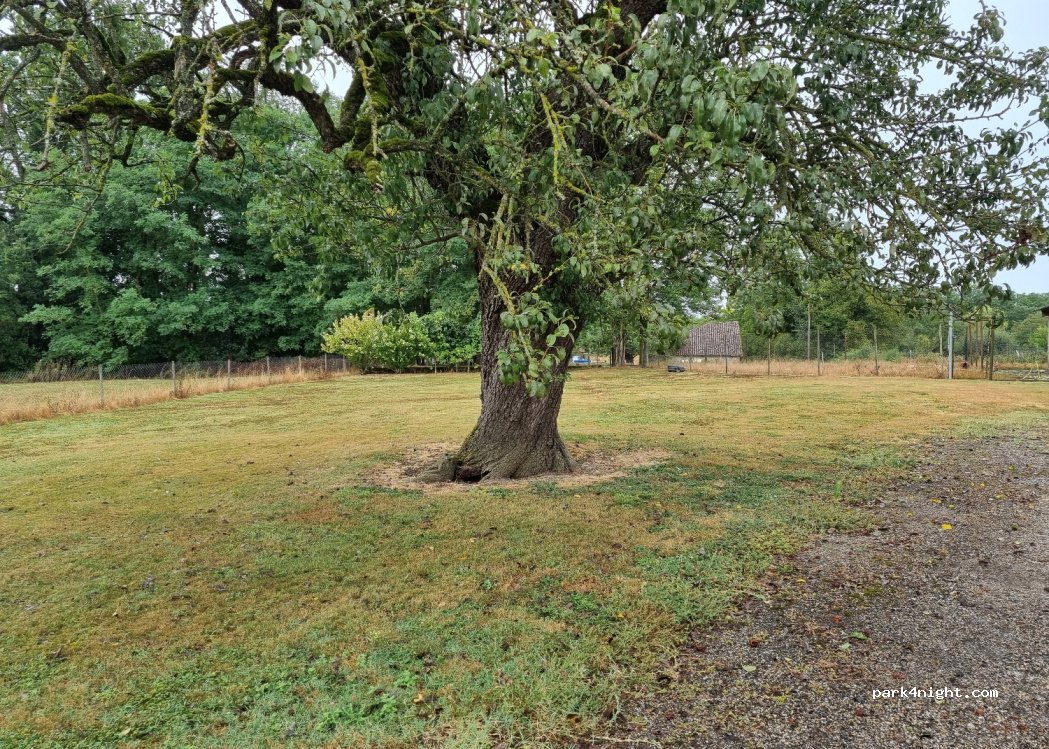 (47800) Roumagne - 536 Route de Braguèze — foto 2