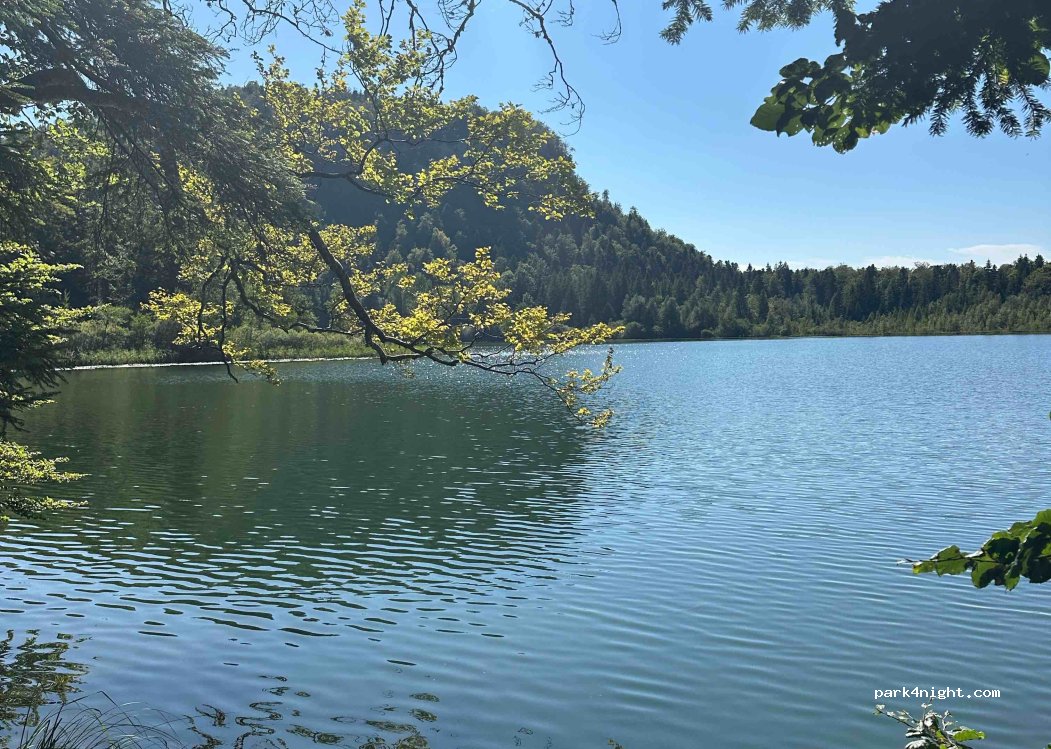 (39130) Bonlieu - Unnamed Road — foto 3