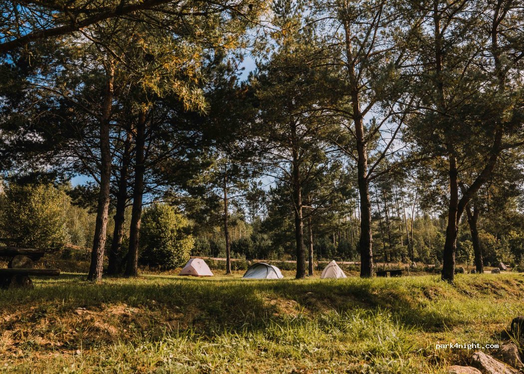 Kajlandia - Centrum Aktywnego Wypoczynku — foto 3