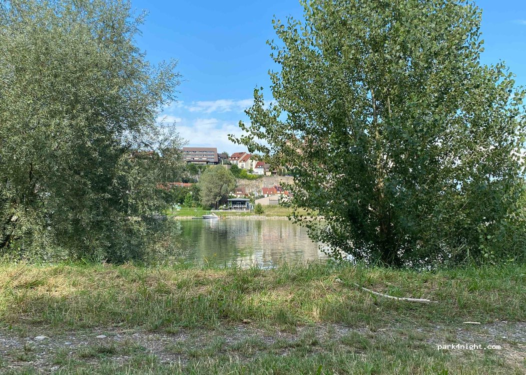 (68600) Biesheim - 513 Île du Rhin — foto
