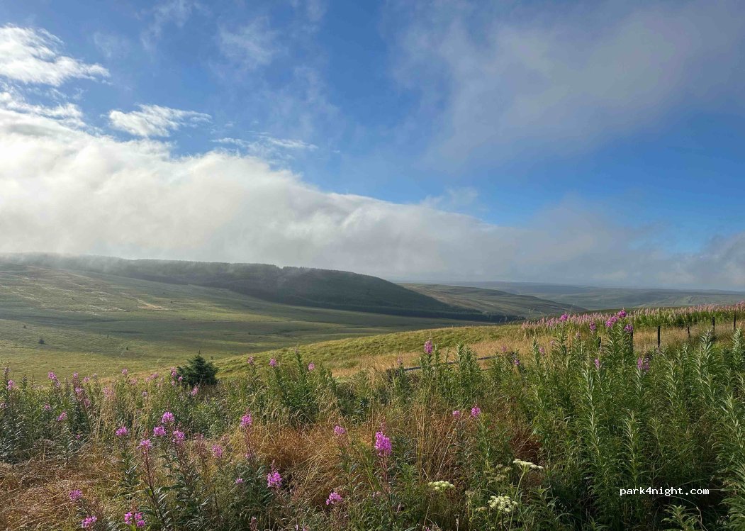 (SY18 6RS) Llanidloes - — foto
