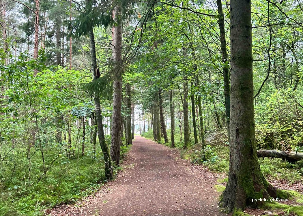 (646) Lindesnes - Tjømsveien — foto