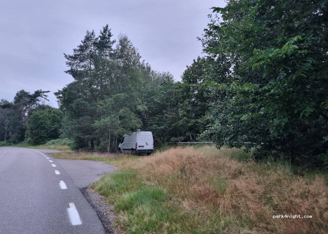(463 75) Hjärtum - — foto