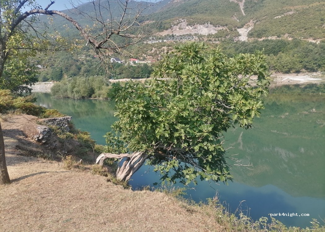 () Dushaj i Poshtëm - — foto 4