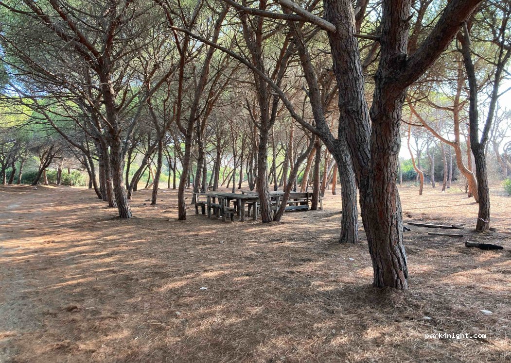 (88811) Cirò Marina - — foto 2