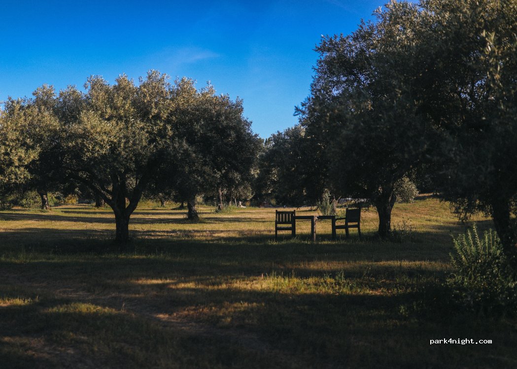 Quinta da várzea — foto 4