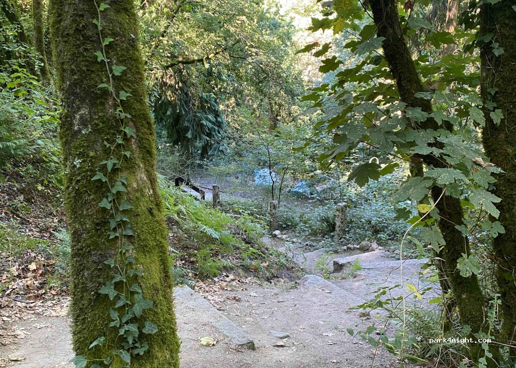 (4845-075) Gerês - Unnamed Road — foto