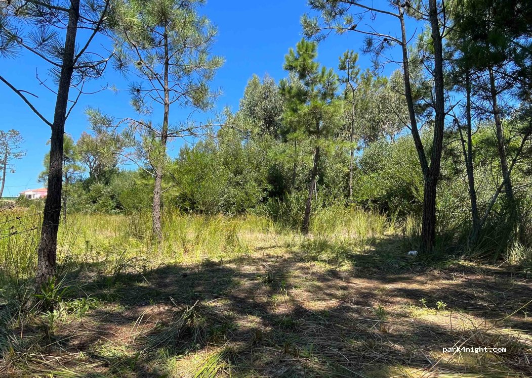 (3105) Guia - Unnamed road — foto