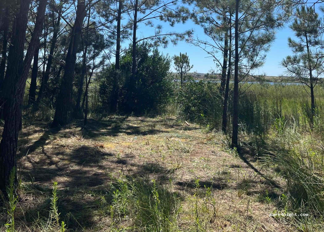 (3105) Guia - Unnamed road — foto 2