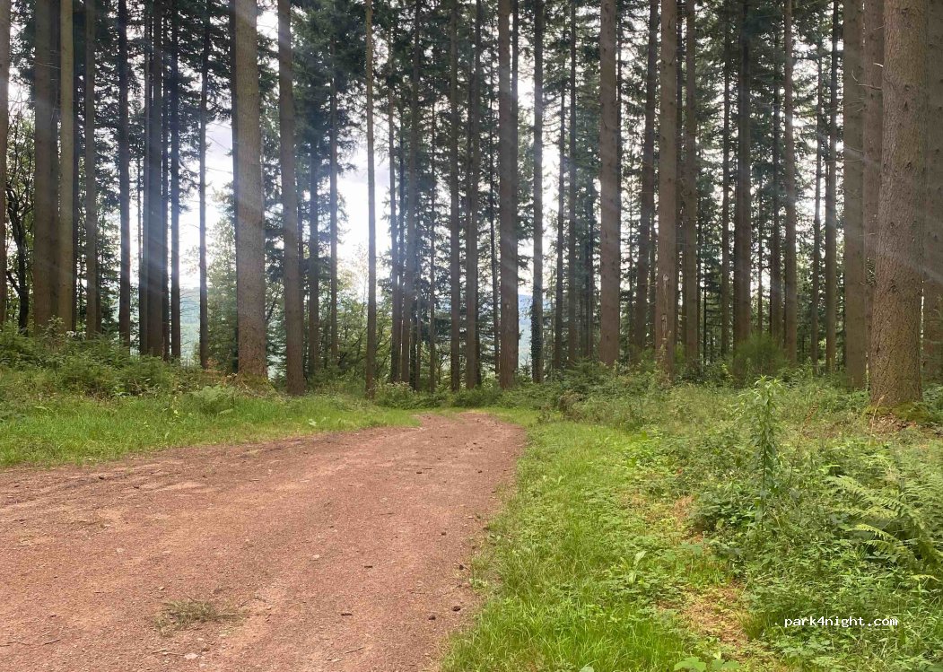 (58120) Chaumard - Unnamed Road — foto