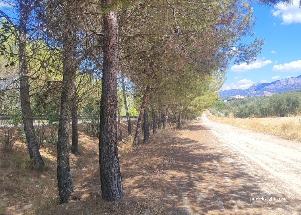 (23460) Peal de Becerro - A-319 — foto