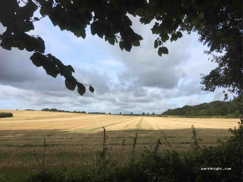 (BH21 4DZ) Kingston Lacy - Blandford Road — foto 3