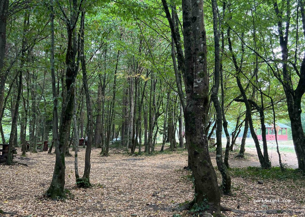 (75290) Višća Gornja - — foto 2