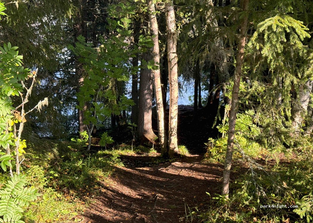 (830 05) Järpen - Unnamed Road — foto 2
