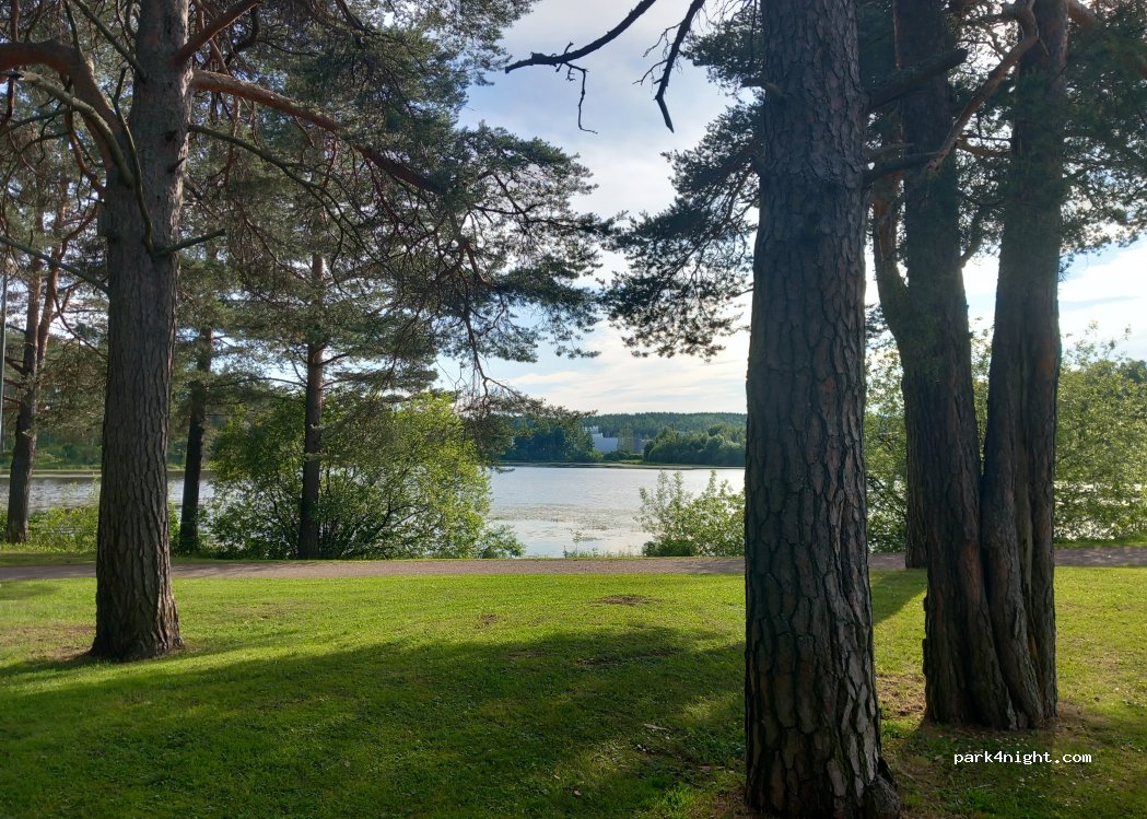 (821 42) Bollnäs - 41 Långnäsvägen — foto 4