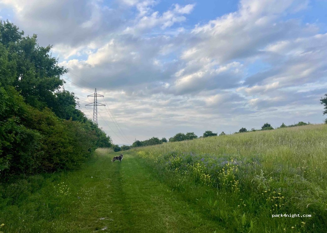 (55286) Wörrstadt - 1 Neubornstraße — foto 4