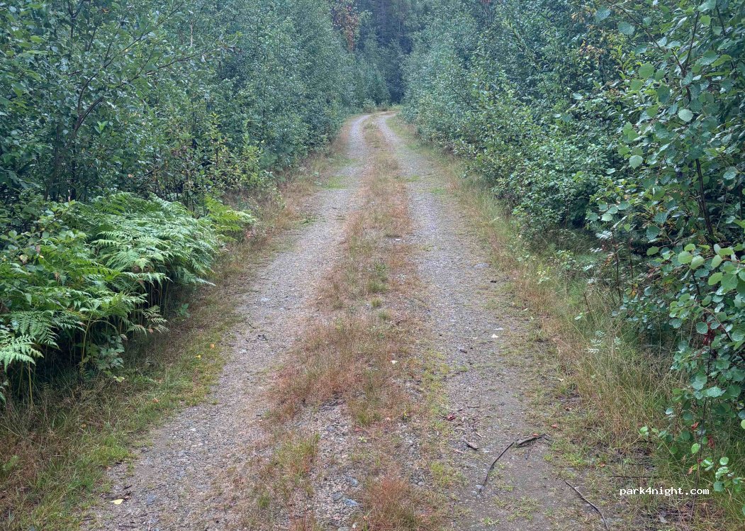 (829 62) Ånget - — foto
