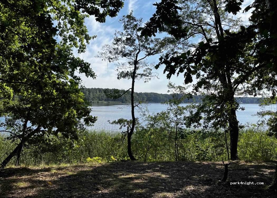 (67-416) Jezioro Sławskie - 774 Leśna — foto 3