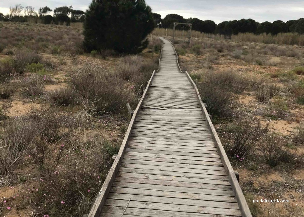 (91022) Marinella - Unnamed Road — foto 3