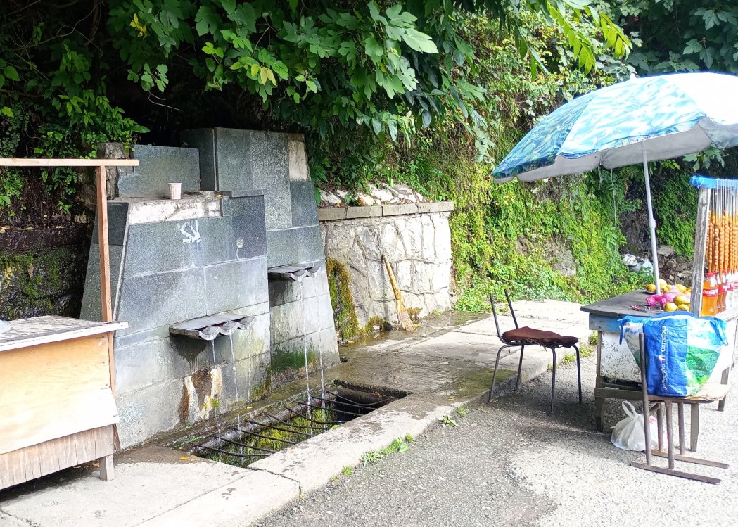 ()  - Sajavakho-Chokhatauri-Ozurgeti-Kobuleti — foto