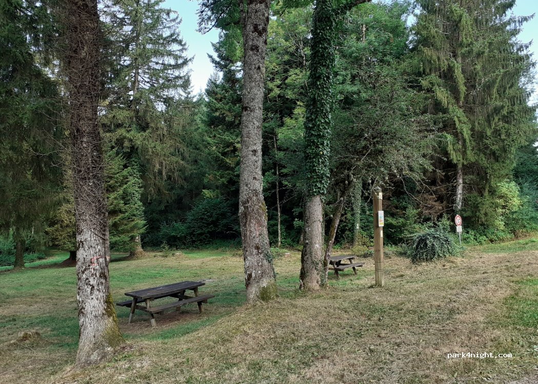(39300) Le Latet - Forêt Domaniale de la Fresse — foto