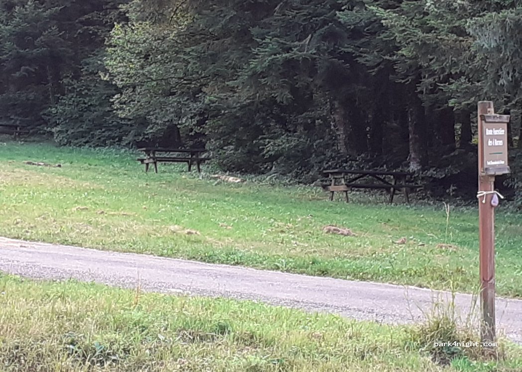 (39300) Le Latet - Forêt Domaniale de la Fresse — foto 3
