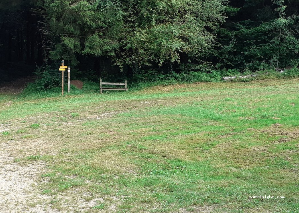 (39300) Le Latet - Forêt Domaniale de la Fresse — foto 4