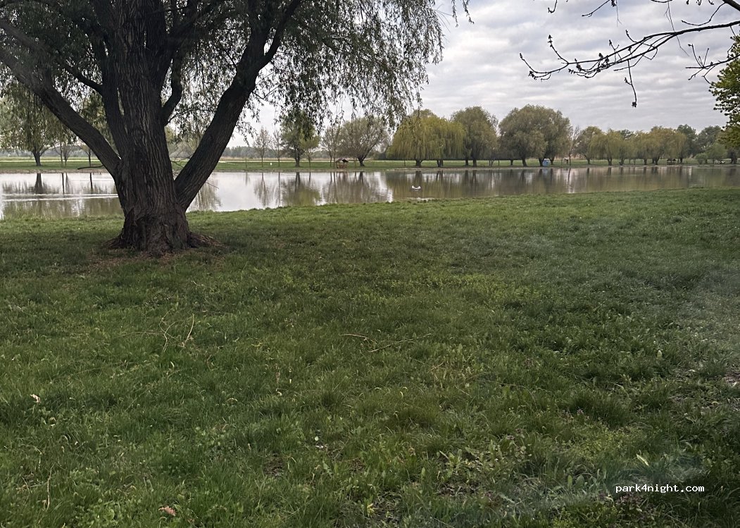 (6060) Tiszakécske - Unnamed Road — foto 5