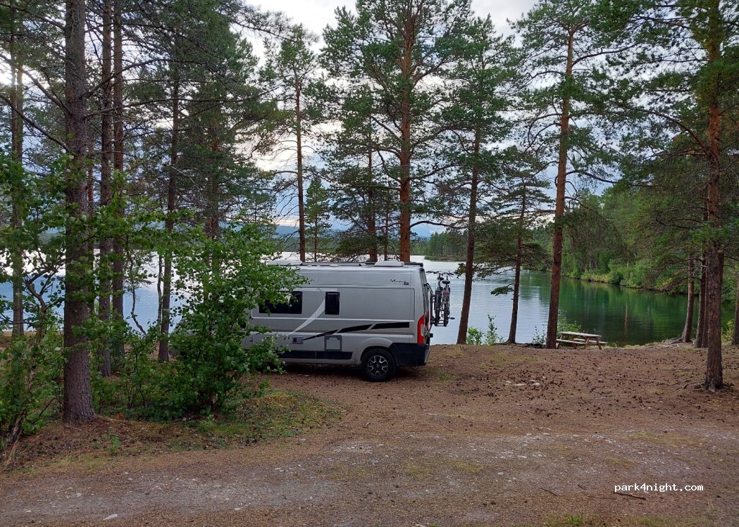 (9334) Holt - — foto