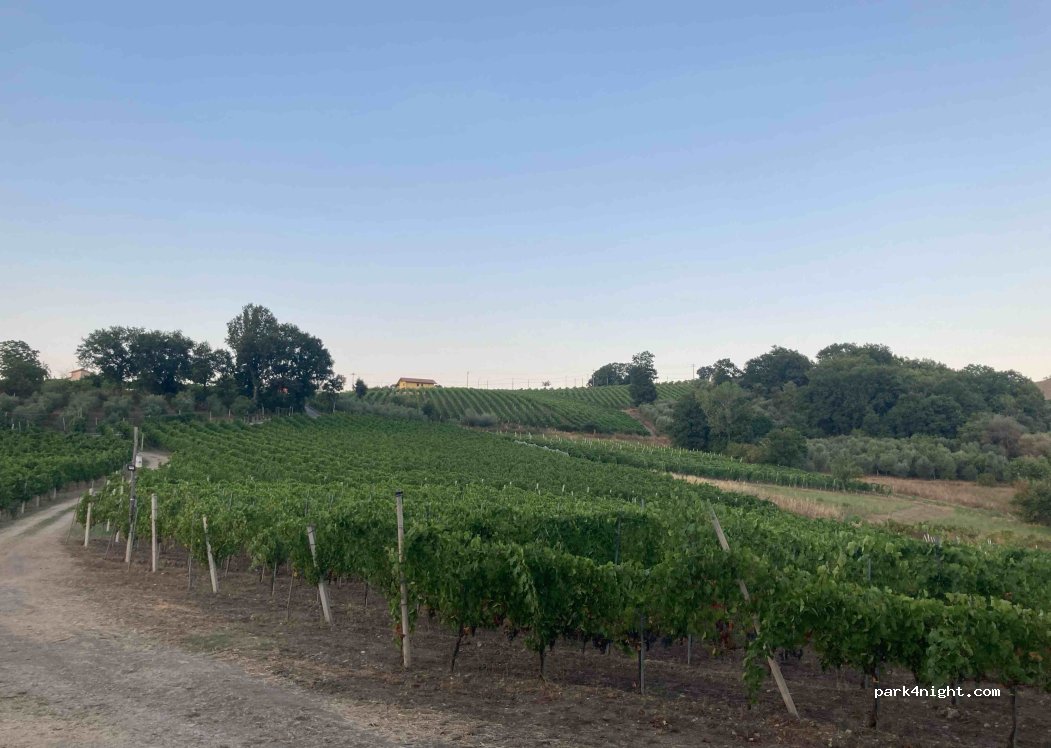 (83040) Castelfranci - 21 cda Baiano — foto 3