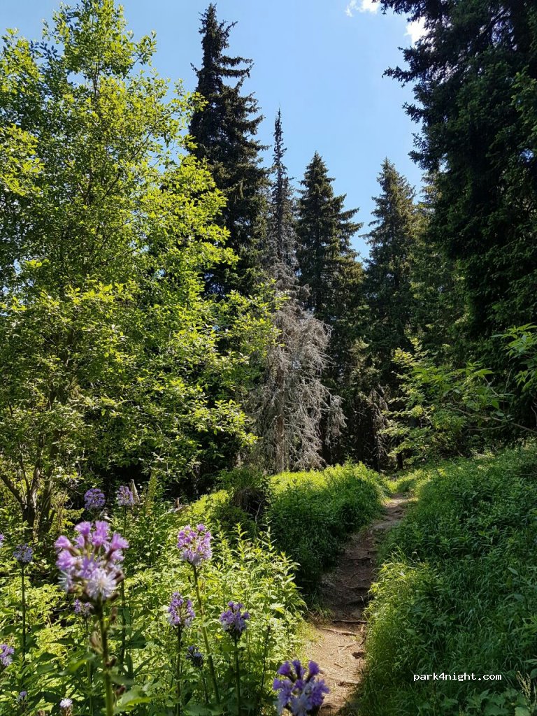 (1616) Sofia - Unnamed Road — foto