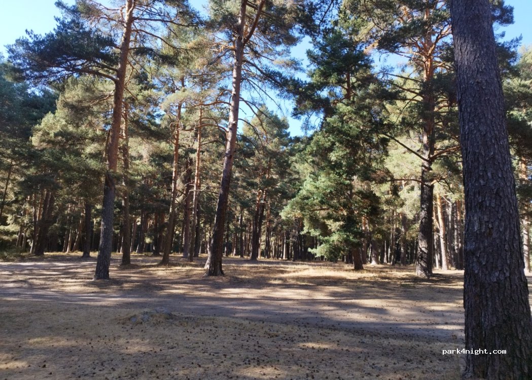 (05634) Hoyos del Espino - — foto