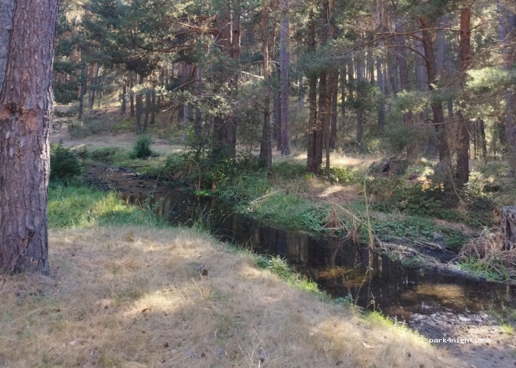 (05634) Hoyos del Espino - — foto 3