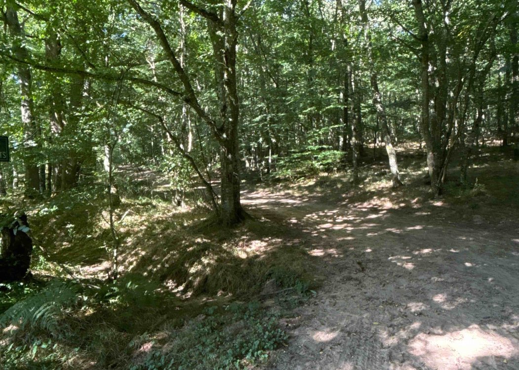 (03360) Saint-Bonnet-Tronçais - — foto