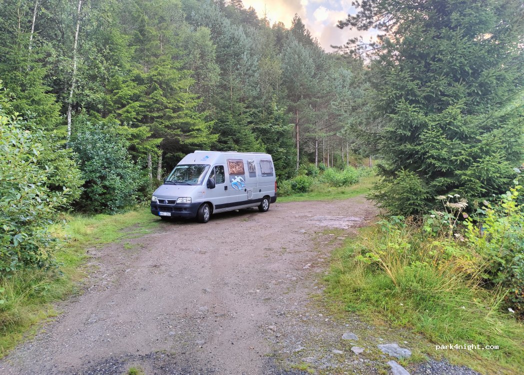 (4485) Feda - 10 Sekundær Fylkesveg 804 — foto