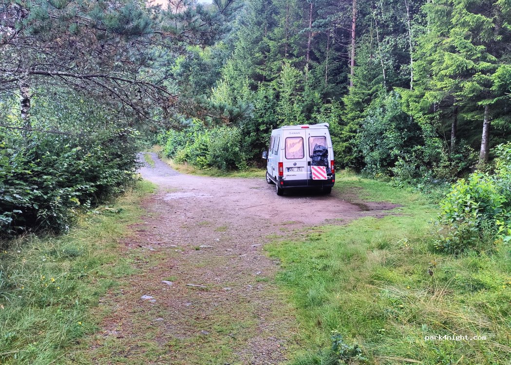 (4485) Feda - 10 Sekundær Fylkesveg 804 — foto 2