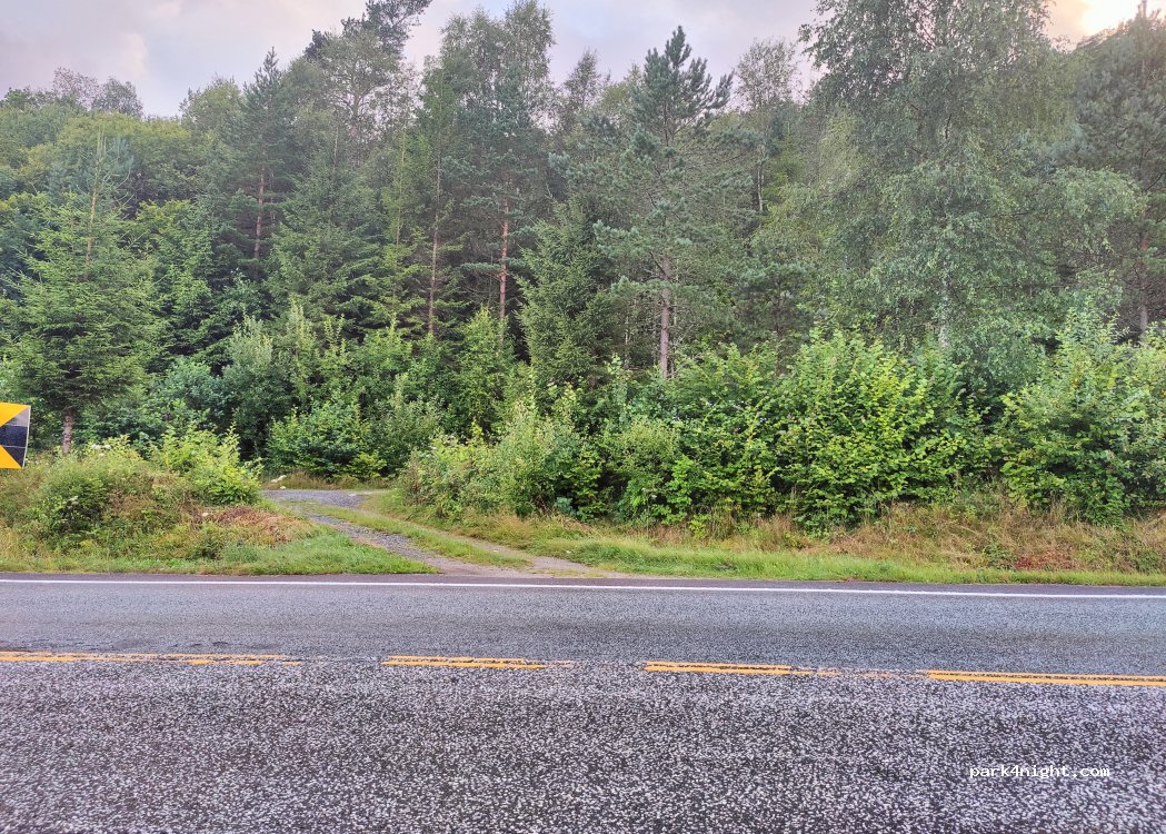 (4485) Feda - 10 Sekundær Fylkesveg 804 — foto 3