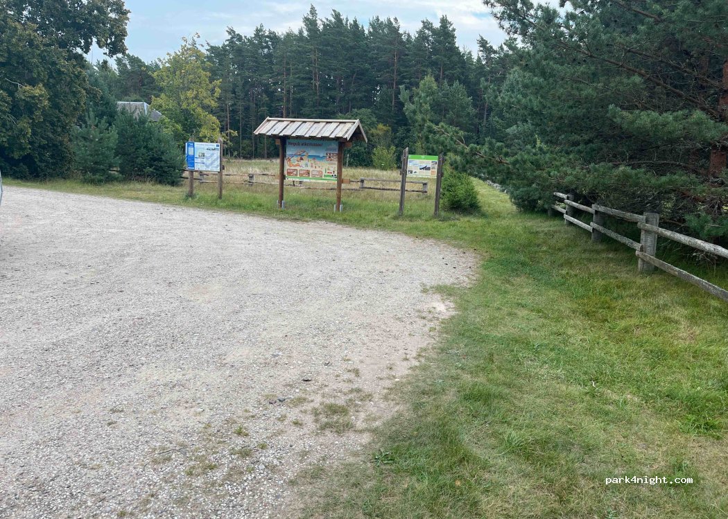 (3601) Oviši - Unnamed road — foto